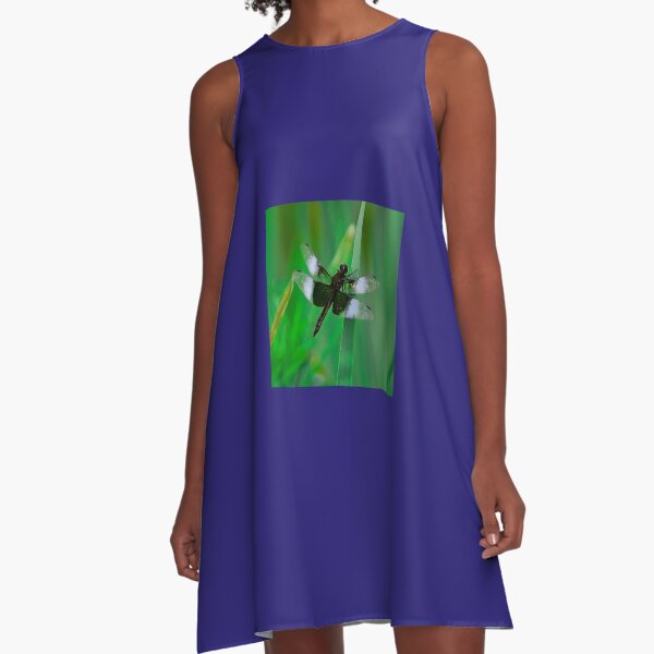Dragonflies of dreams By Yannis Lobaina A-Line Dress