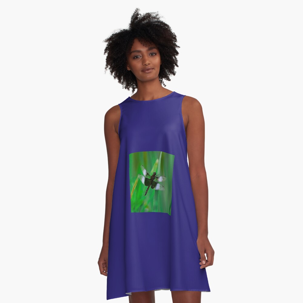 Dragonflies of dreams By Yannis Lobaina A-Line Dress