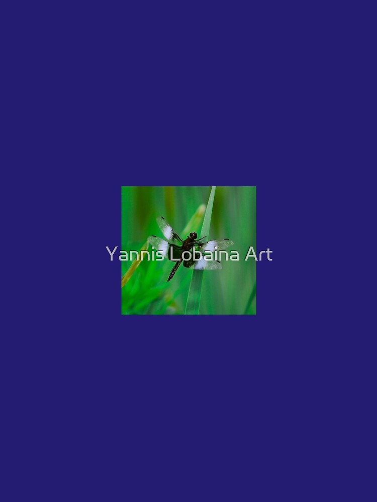 Dragonflies of dreams By Yannis Lobaina by lobaina1979