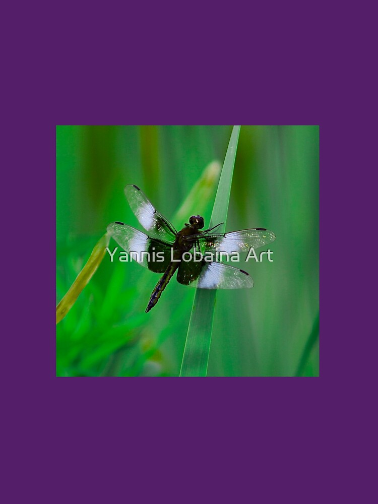 Dragonflies of dreams By Yannis Lobaina by lobaina1979