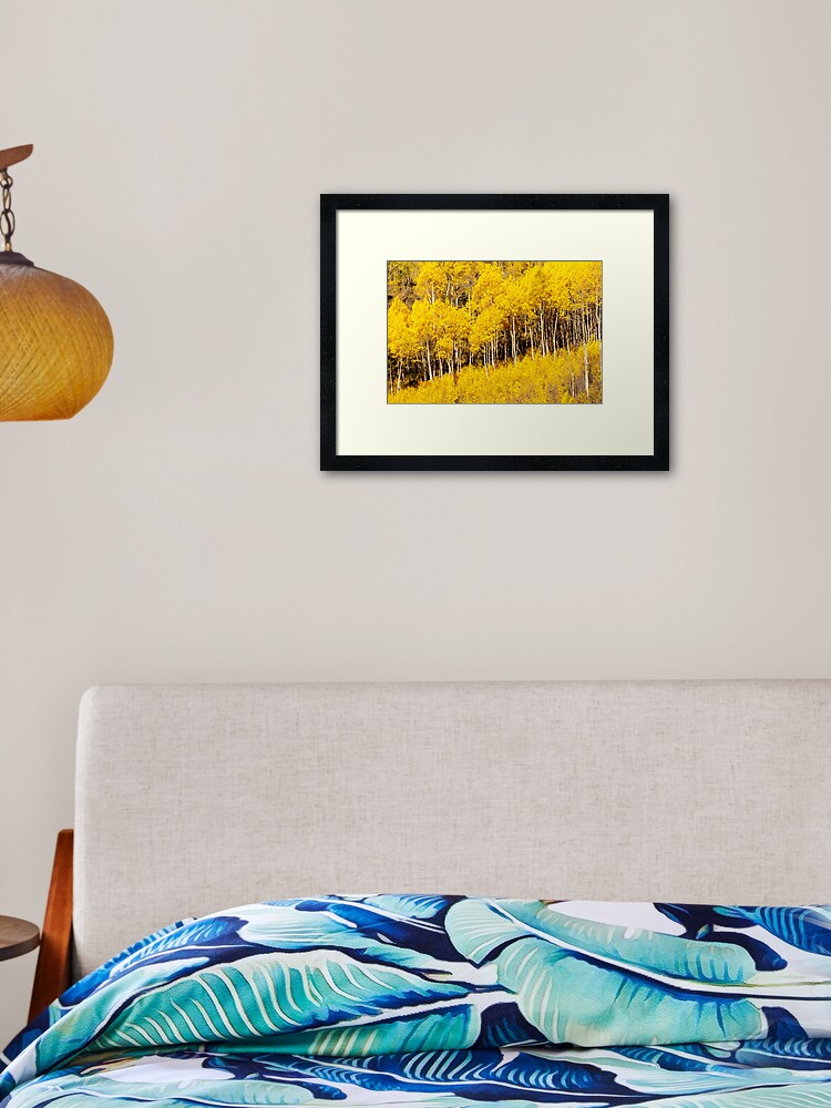 Thumbnail 2 of 7, Framed Art Print, Golden Fall Aspens designed and sold by nikongreg.