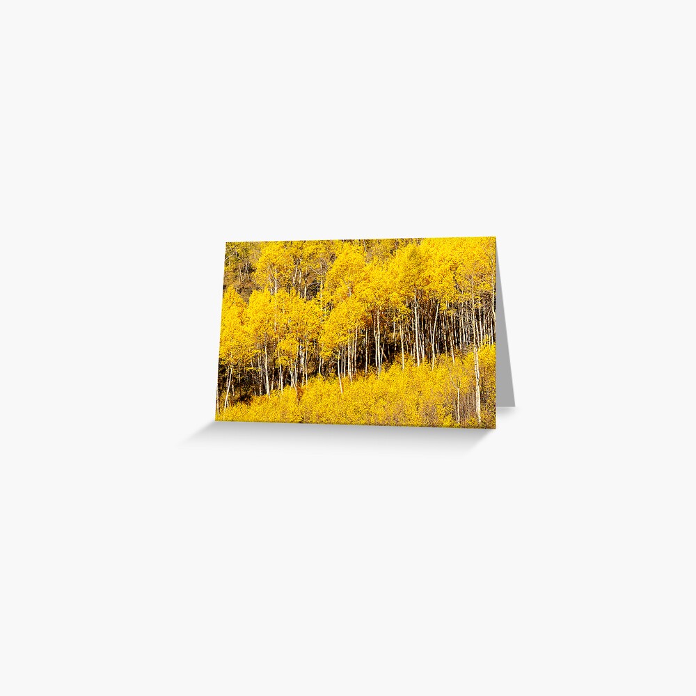 Item preview, Greeting Card designed and sold by nikongreg.