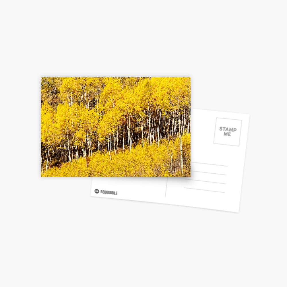 Item preview, Postcard designed and sold by nikongreg.
