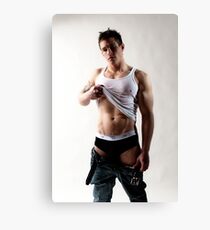 41786a Canvas Print