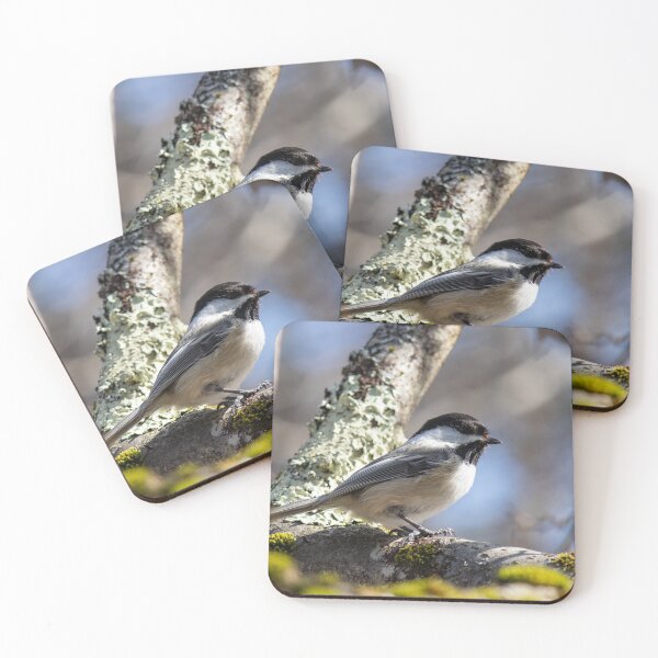 Item preview, Chickadee designed and sold by RealBrewedTea.