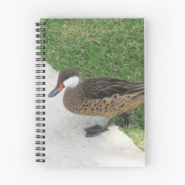 Item preview, Duck in the park designed and sold by tripode.