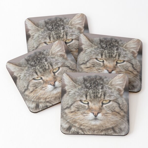 Item preview, fat tabby cat portrait designed and sold by Nikoleta Vukovic.