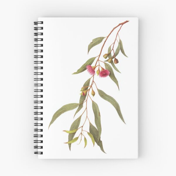 Item preview, Eucalyptus leucoxylon - Yellow gum with Red Flowers designed and sold by Cheryl Hodges.