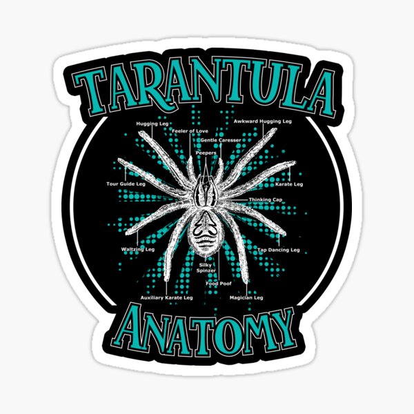 Item preview, Funny Tarantula Owner Shirt Great Gift For Spider Owner  designed and sold by JessieJune.