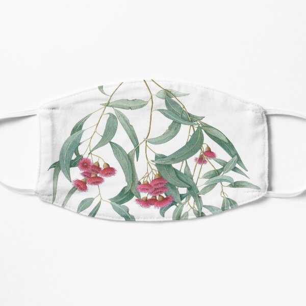 Eucalyptus leucoxylon Flat Mask