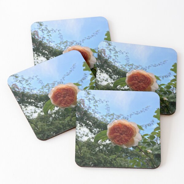 Item preview, Singular Pink Flower in Monet's Garden designed and sold by kenna18r.