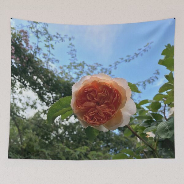 Item preview, Singular Pink Flower in Monet's Garden designed and sold by kenna18r.