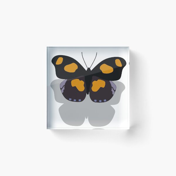 Item preview, Illustration Shoemaker Butterfly Flying Over Its Shadow designed and sold by grounds.