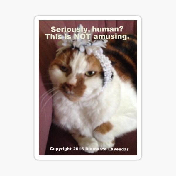 This Is Not Amusing by Diamante Lavendar Sticker