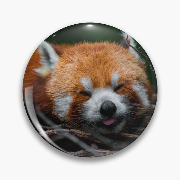 Item preview, Red Panda Blep designed and sold by bittervictory.