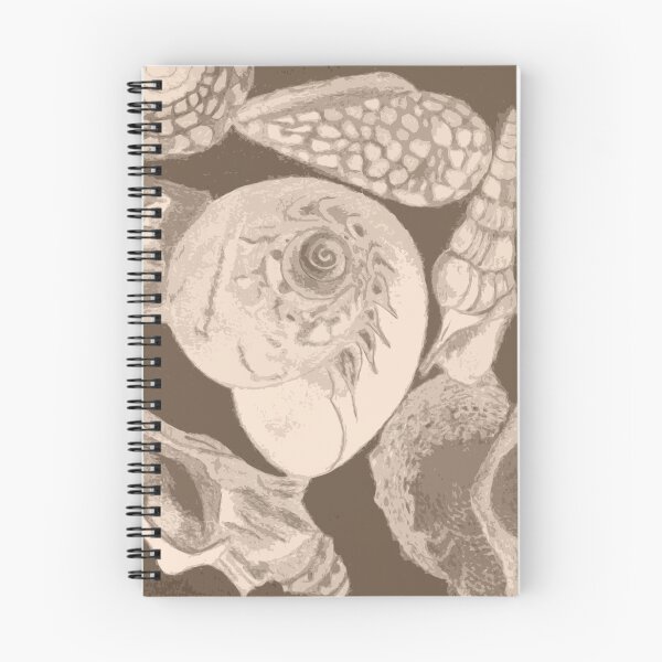 Item preview, Sea Shells Sepia Version designed and sold by Jan Palmer.