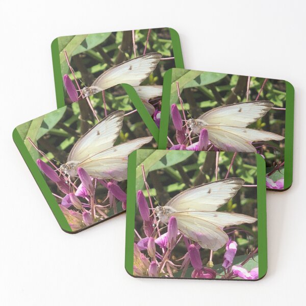 Item preview, Butterfly of Tampa Bay designed and sold by Monika's Shop.