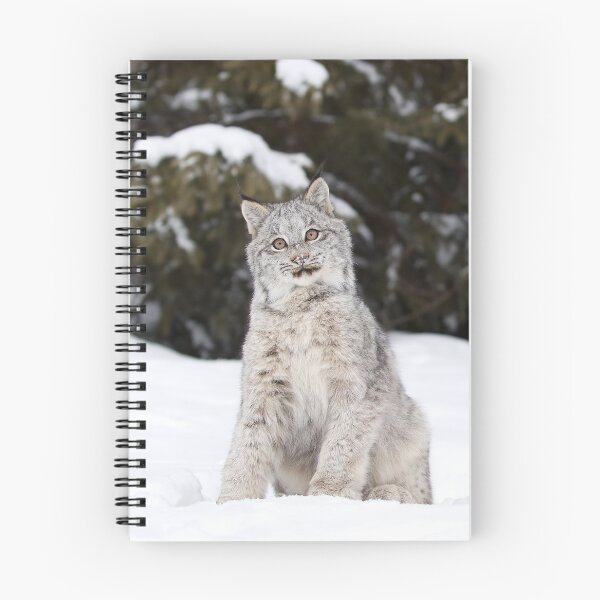 Item preview, Funny Lynx Kitten designed and sold by mlorenz.