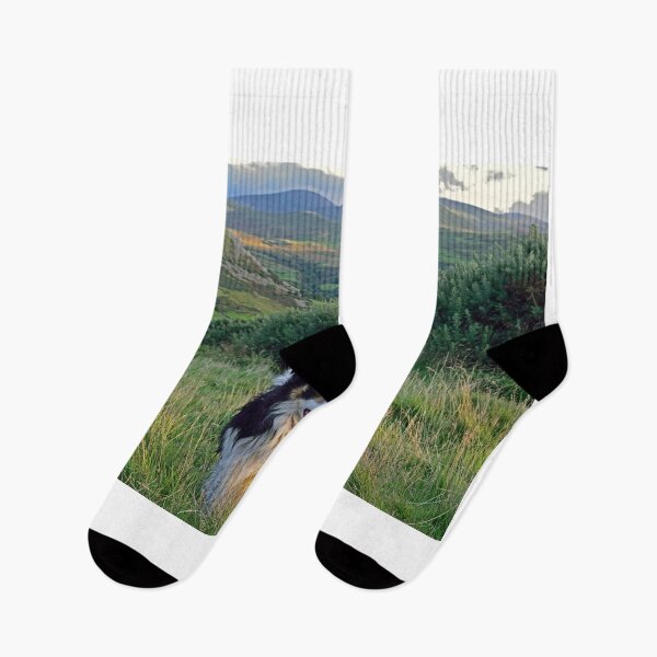 Item preview, Reverie. designed and sold by Michael Haslam.