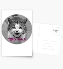 office bitch Postcards