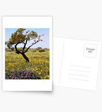 AALBG - Wildflower season Postcards