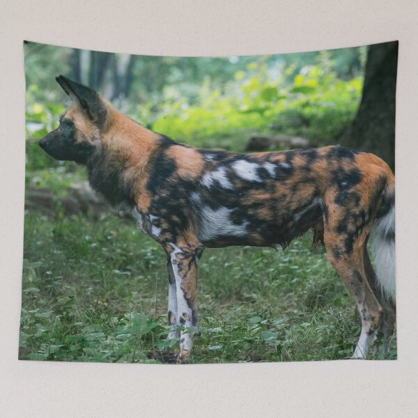 Item preview, African Painted Dog Watching its Prey designed and sold by bittervictory.