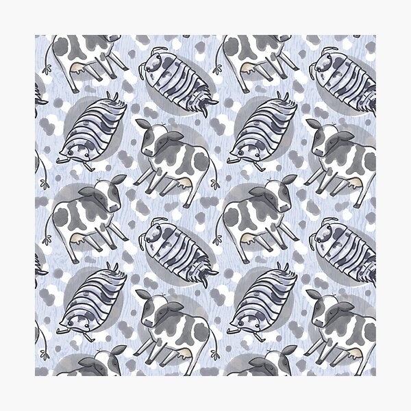 Dairy Cow Isopods- Blue Photographic Print
