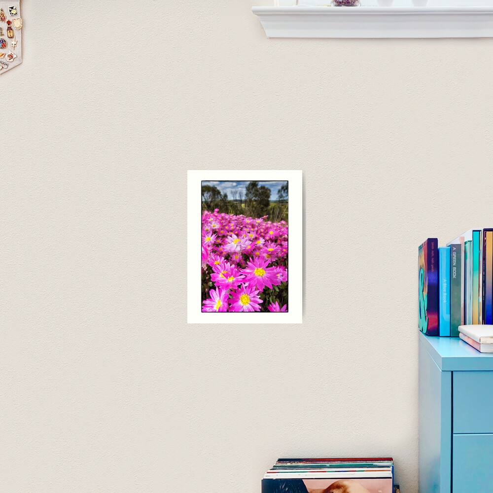 Carpet of Pink Everlastings Art Print
