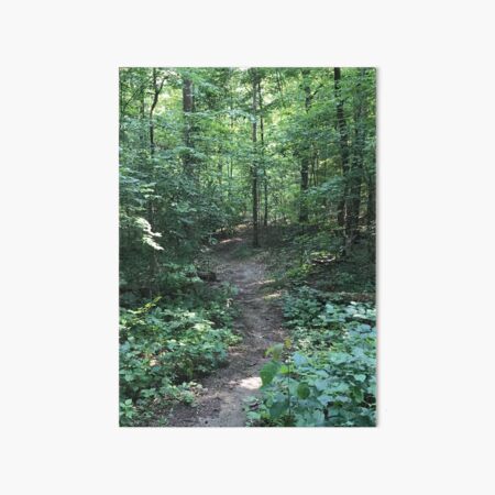 Vista previa del artículo con la obra «Bañarse en el bosque: imagen para completar la riqueza», diseñado y vendido por ninesteps.