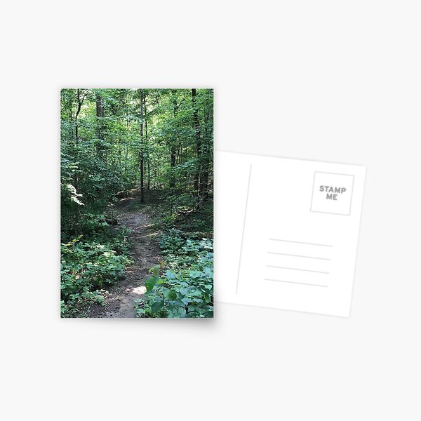 Item preview, Forest Bathing - Image to Complete Wealth  designed and sold by ninesteps.