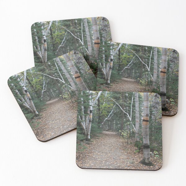 Item preview, Spearfish Canyon Falls Area South Dakota designed and sold by Black Hills Creative.