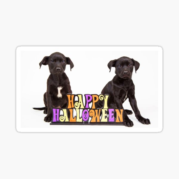 Happy Puppy Halloween Sticker
