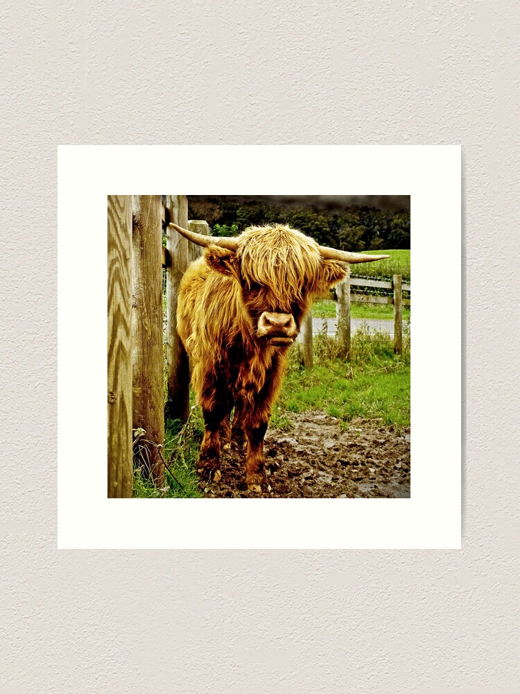 Thumbnail 1 of 3, Art Print, Highlander designed and sold by Coigach.