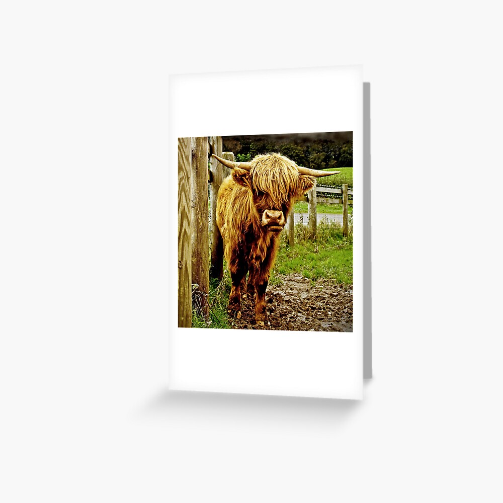 Item preview, Greeting Card designed and sold by Coigach.