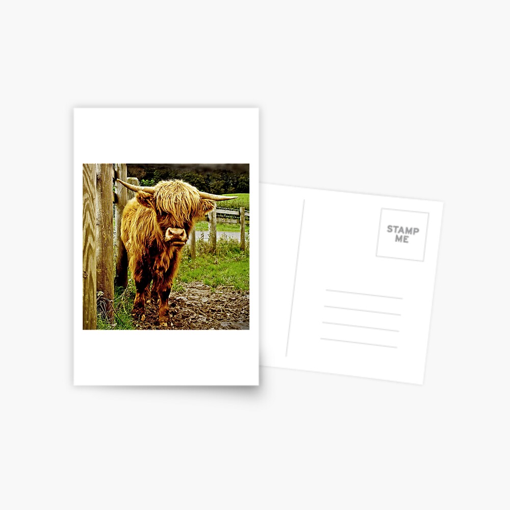 Item preview, Postcard designed and sold by Coigach.