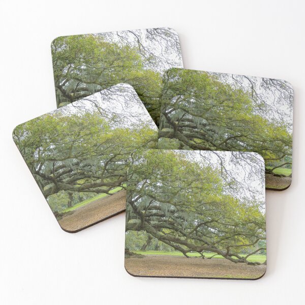 Item preview, Tree of Life, New Orleans, Louisiana designed and sold by SafariByMarisa.