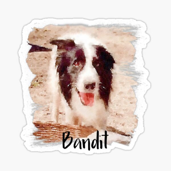 Bandit " Sticker Sale by DNiceGirl | Redbubble