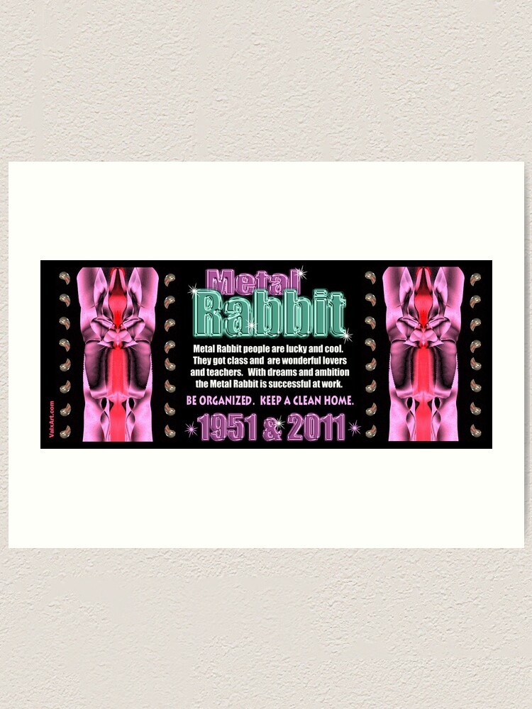 What Is A Metal Rabbit In Chinese Zodiac 60 Photos Astrologytoyou what-is-a-metal-rabbit-in-chinese-zodiac-60-photos-astrologytoyou