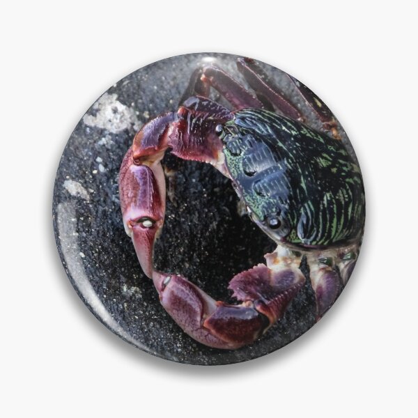 Item preview, Put Your Claws Together!  designed and sold by heatherfriedman.