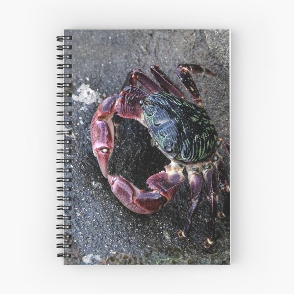 Item preview, Put Your Claws Together!  designed and sold by heatherfriedman.