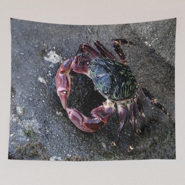 Item preview, Put Your Claws Together!  designed and sold by heatherfriedman.