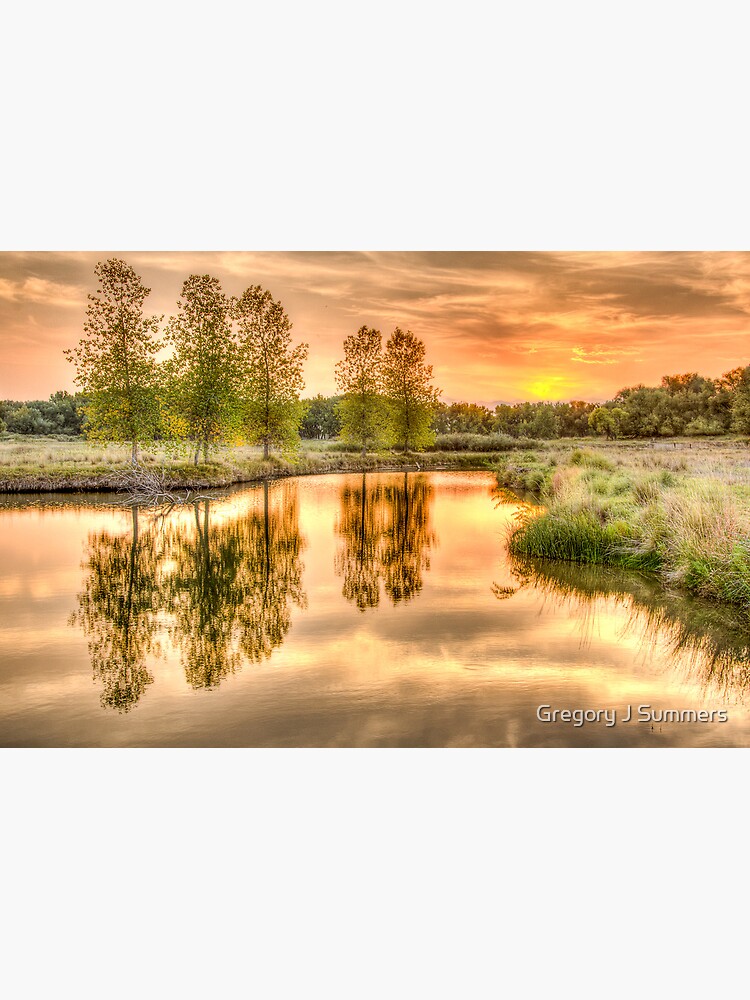 Sweet Summer Sleepy Water Sunset by nikongreg