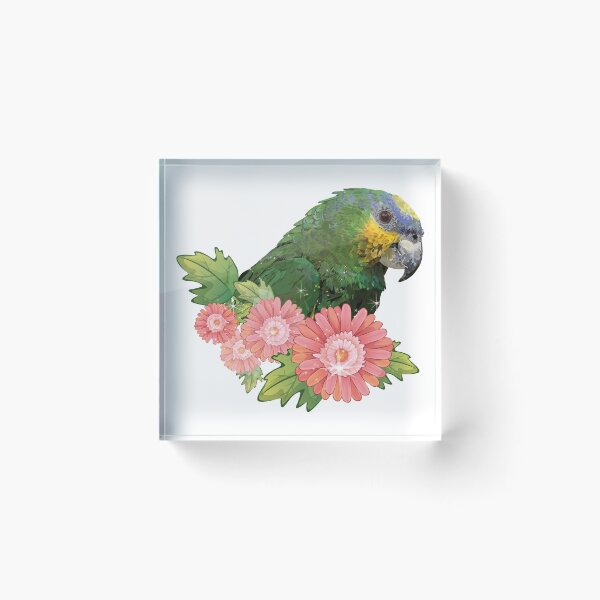 Item preview, Orange-winged Amazon designed and sold by obscurite.