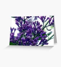 Buds Greeting Card