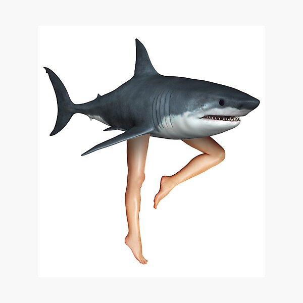 Shark with Legs Photographic Print