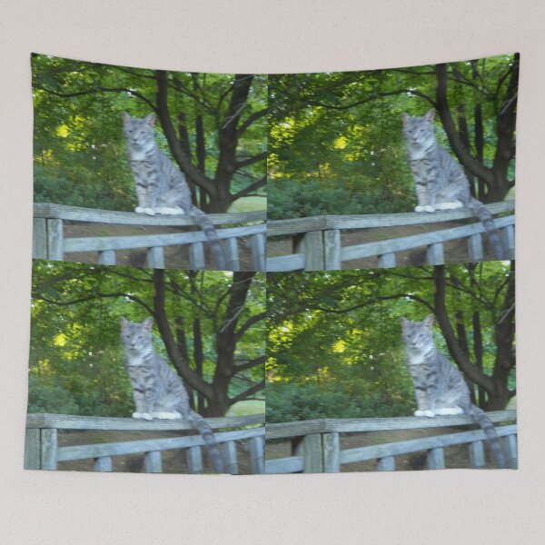 Item preview, Gray and White Cat designed and sold by Illustrationsbyv .