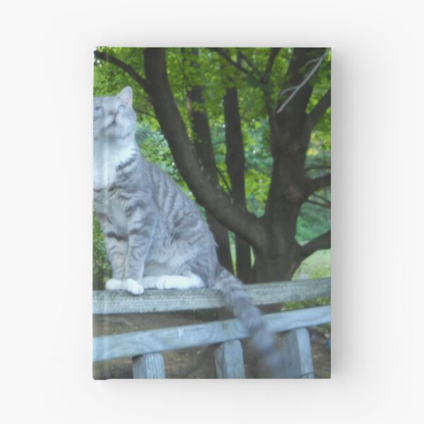 Item preview, Gray and White Cat designed and sold by Illustrationsbyv .