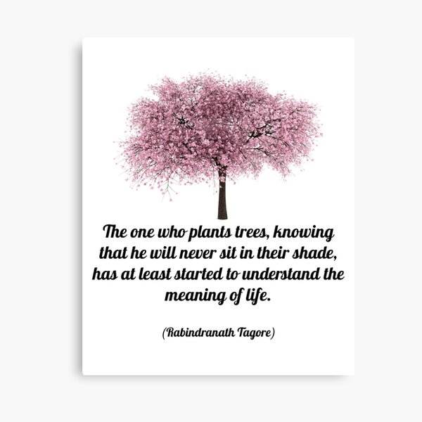 PLANT TREES Canvas Print