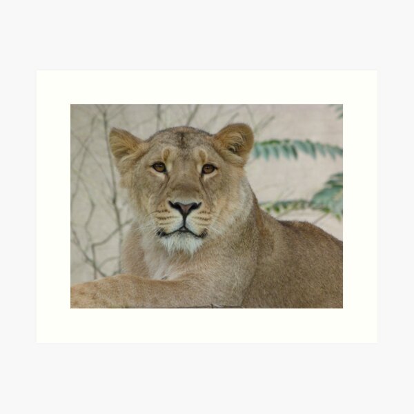 Item preview, Hello there! designed and sold by Sandra Willis.