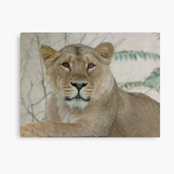 Item preview, Hello there! designed and sold by Sandra Willis.